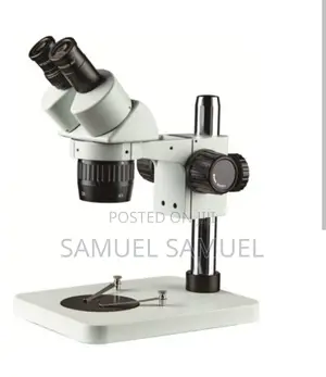 Stereo Microscope