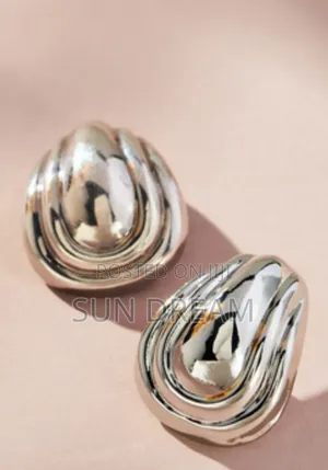 Sliver Stainless Steel Birthday Gift Lady Earrings