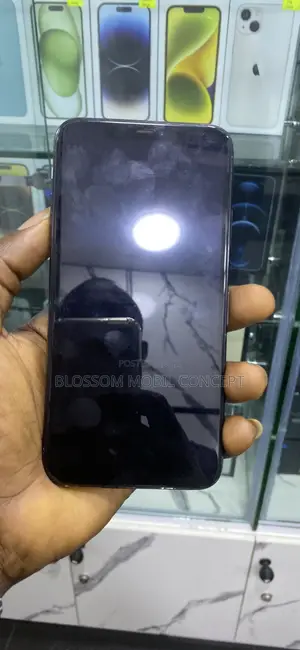 Apple iPhone 11 Pro Max 64 GB Green