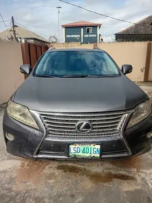 Lexus RX 2010 Gray