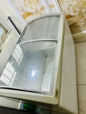 Haier Thermocool Freezer