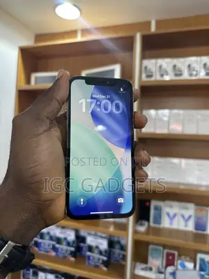 Apple iPhone 12 Pro 256 GB Gray