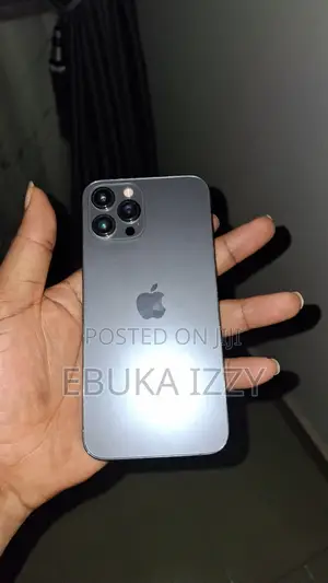 Apple iPhone 12 Pro Max 128 GB Gray