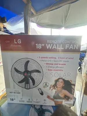 LG 18” Wall Fan