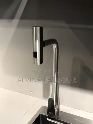 Triple Spray Pull Out Faucet