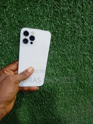 Apple iPhone 12 Pro Max 256 GB White
