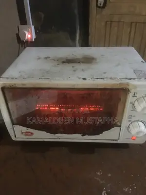 Microwave Iron