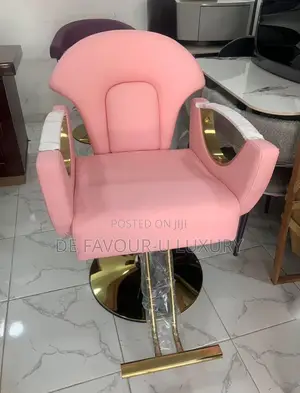 Salon Chair Adjustable Height With Footrest