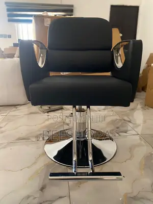 Salon Chair