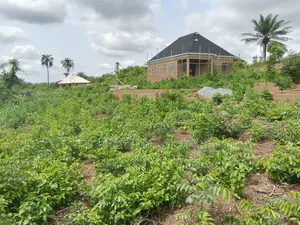 50 X 100 Plot of Land in Abeokuta