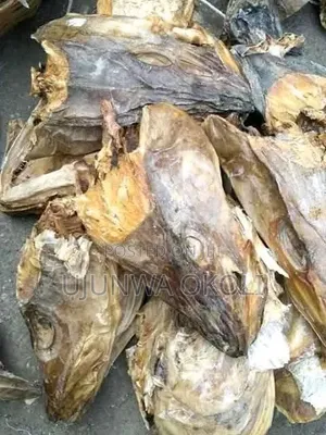 UJ Stockfish