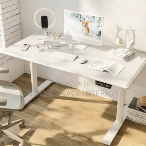 Electric Sit Stand Desk With Memory Preset