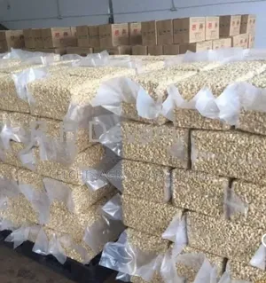 Processed Cashew Kennels