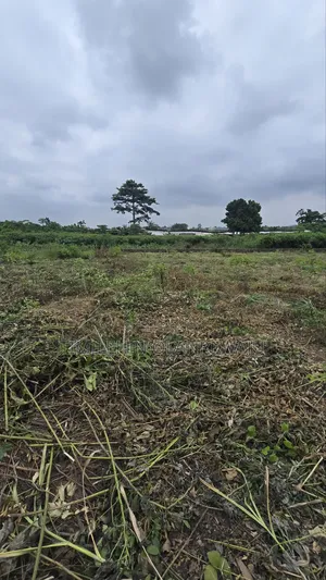 A Full Plot of Land in Akobo Ibadan.