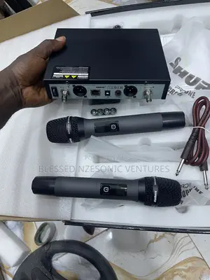 Professional Wireless Microphone