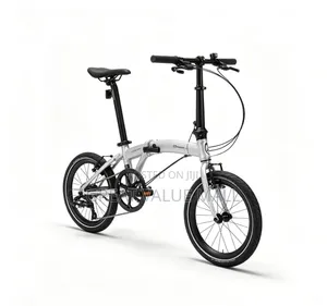 Adult Mountain Bike