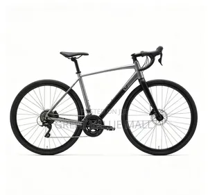 Adult Mountain Bicycle