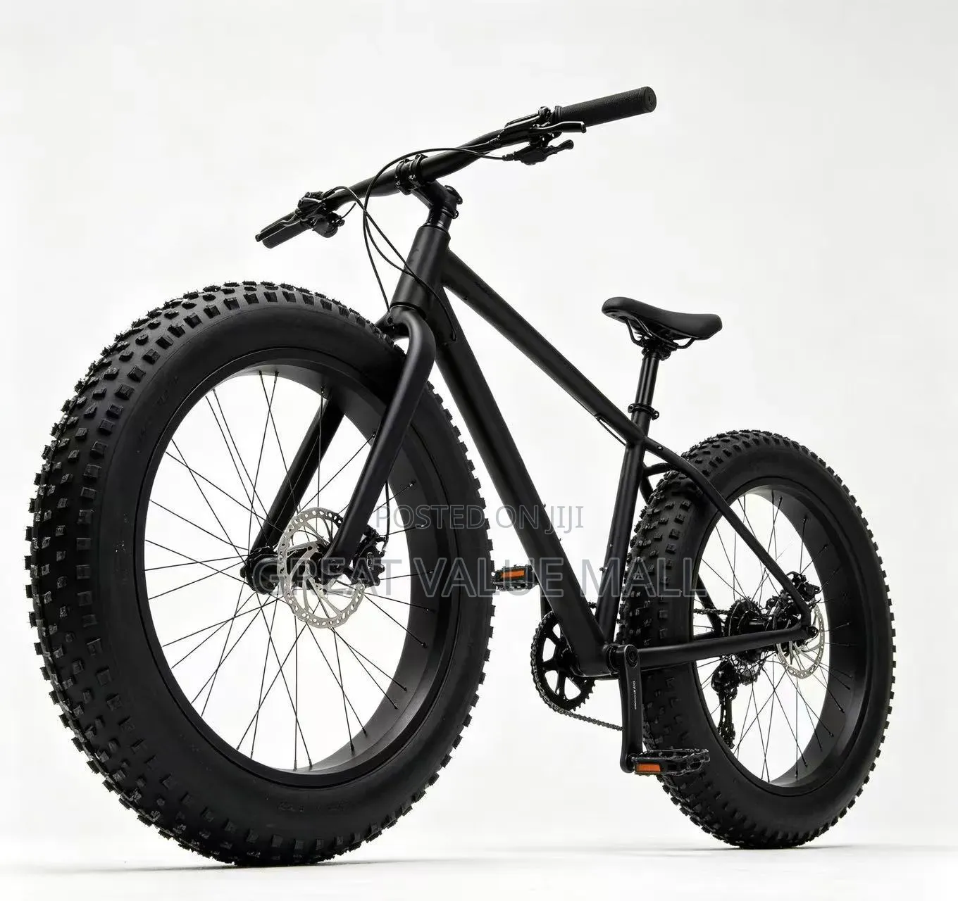 Adult Bicycle