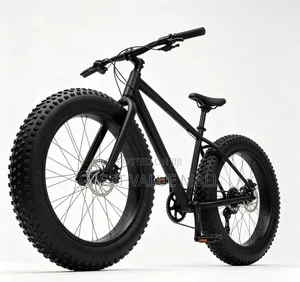 Adult Bicycle