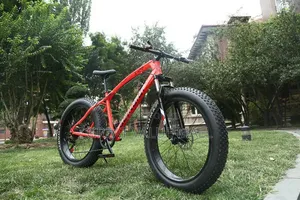 Premium Adult Bike