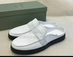 Berluti Luxury Shoe
