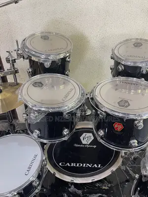 Professional Drum Set