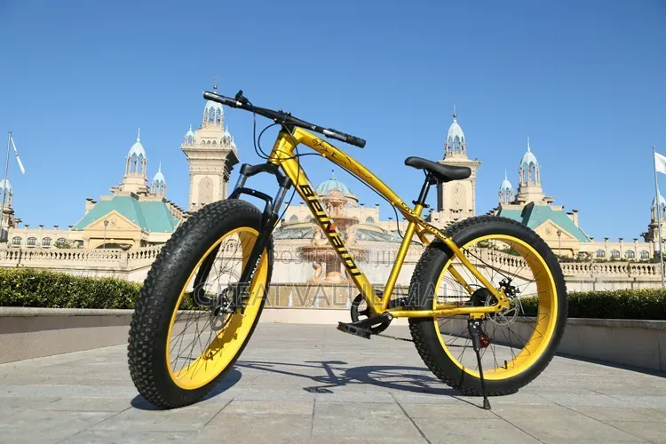 Mountain Bike