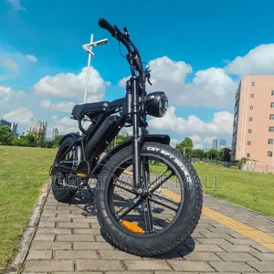 Electric Bike for Adults
