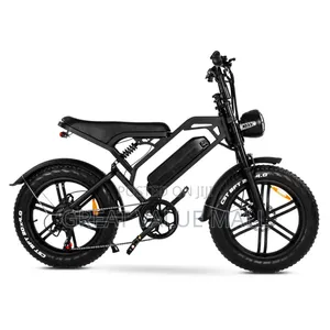 Quality Electric Bike