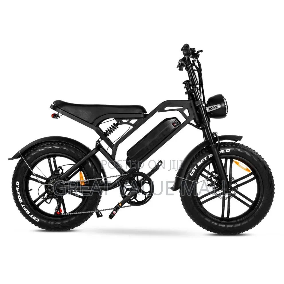 Quality Electric Bike