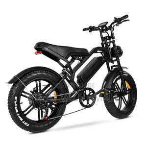 Quality Adult Bicycle