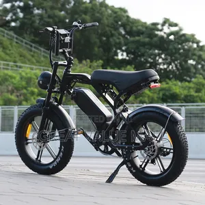 Sports Electric Bicycle