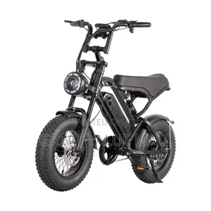 Adult Sports Bike