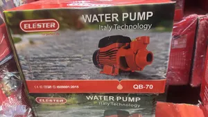 0.75Hp Elester Surface Water Pump