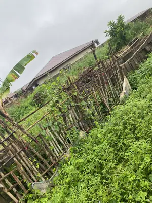 Half Plot of Land for Sale