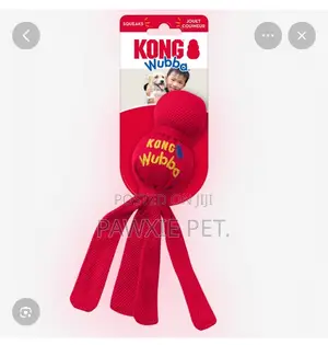 Kong Wubba Squeaky Pet Toy