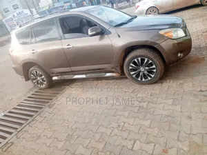 Toyota RAV4 2008 Brown