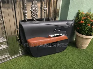2015 Lexus RX 350 Door Mat/Panel Available Set