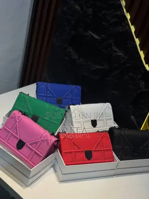 Dior Boxed Bag
