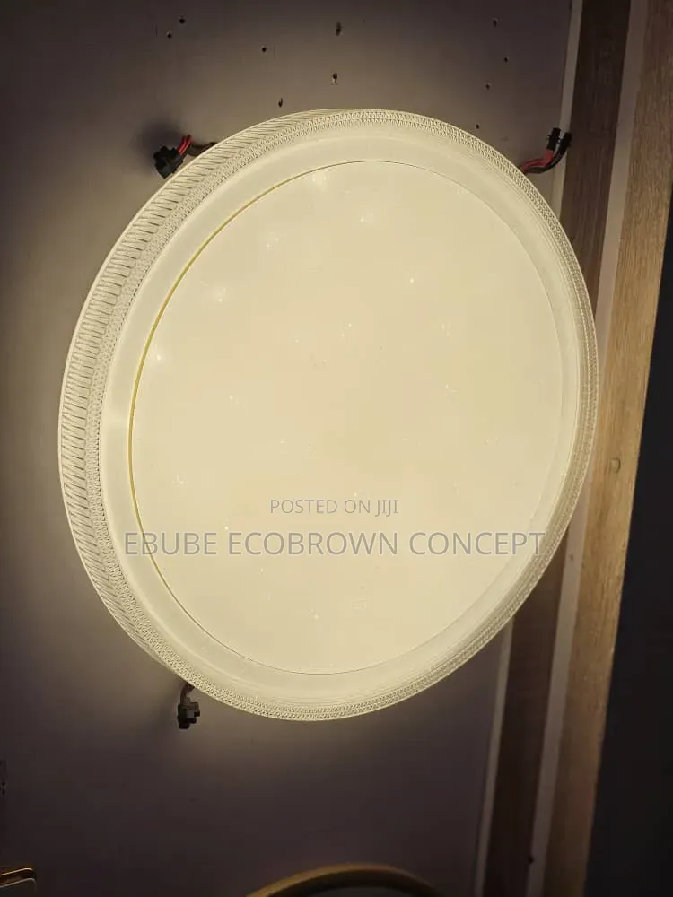 Latest Design Flush Ceiling Fitting Lamp NEW ARRIVALS