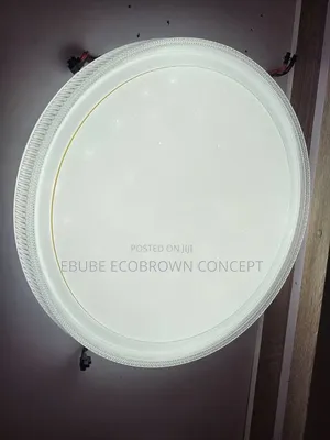 Latest Design Flush Ceiling Fitting Lamp NEW ARRIVALS