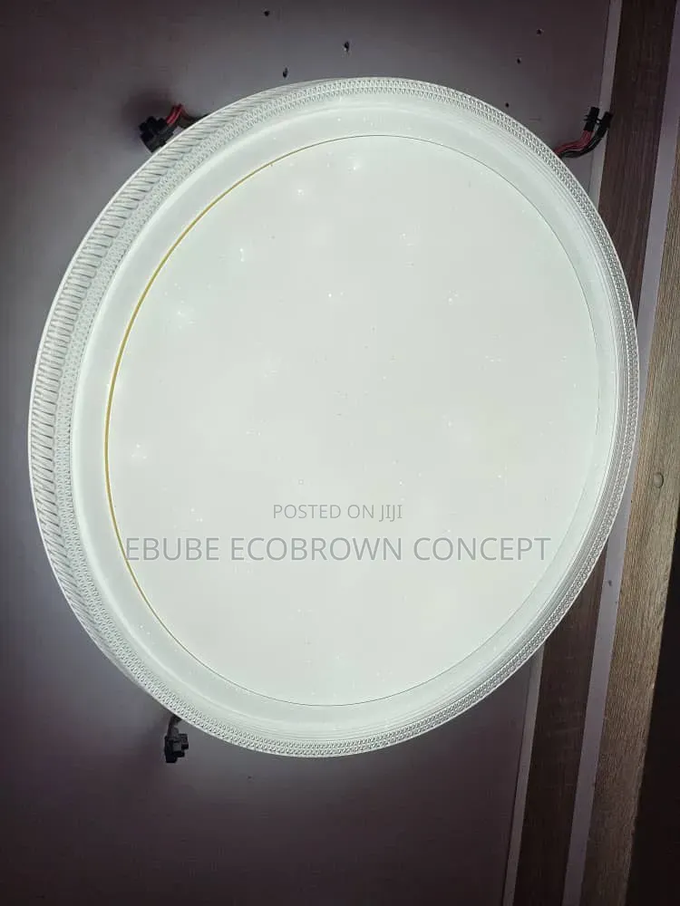 Latest Design Flush Ceiling Fitting Lamp NEW ARRIVALS