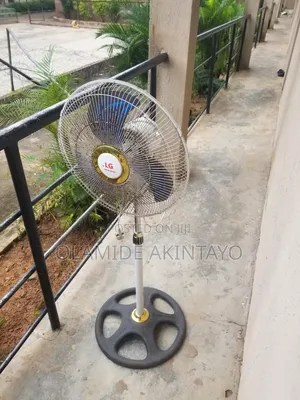 LG Standing Fan