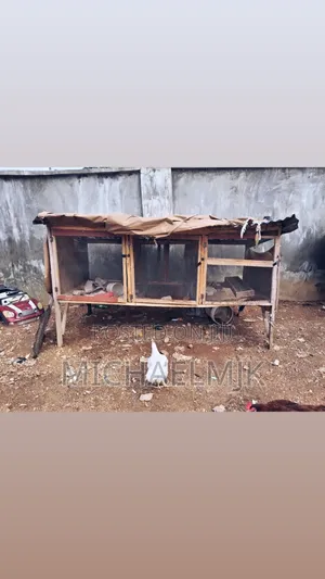Large Poultry Cage