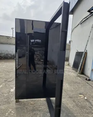 Modern Luxury Pivot Entrance Security Door (744l)