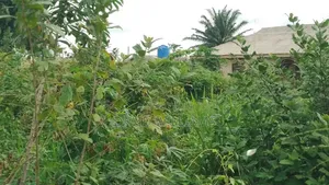 10bdrm Block of Flats in Egunla Estate, Ifo for sale