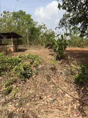 45 Acres of Land for Sale at Owode Agba Very Close to Interchange