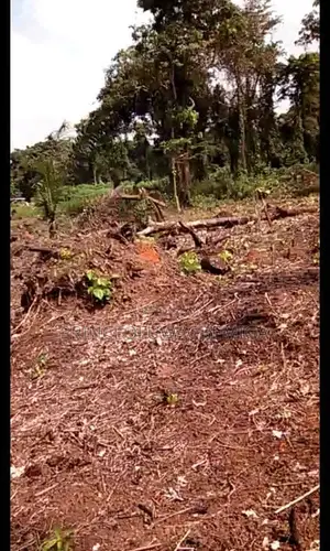 Plots of Land for Sale