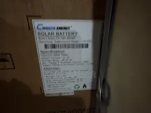 15wh C Worth Lithium Batteries 48v