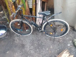 Bicycle for Sell